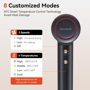 rizzdeek 500m negative ion hair dryer 110,000 rpm high speed brushless motor