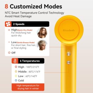 rizzdeek 110k rpm high speed brushless dryer fast drying & frizz free