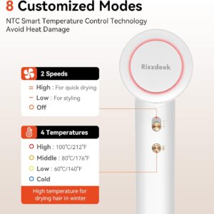 rizzdeek 110k rpm high speed brushless blow dryer 500m negative ions