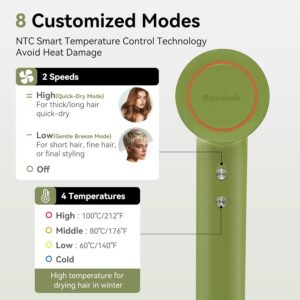 rizzdeek professional high speed dryer fast drying & anti frizz
