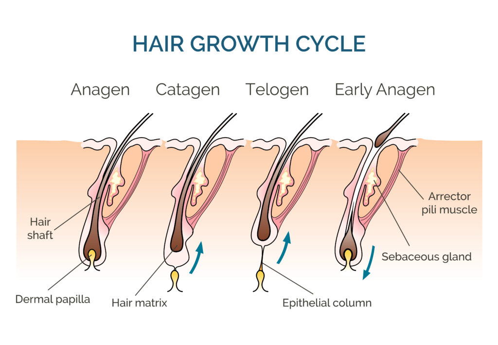 Spring Hair Care 已使用 blog